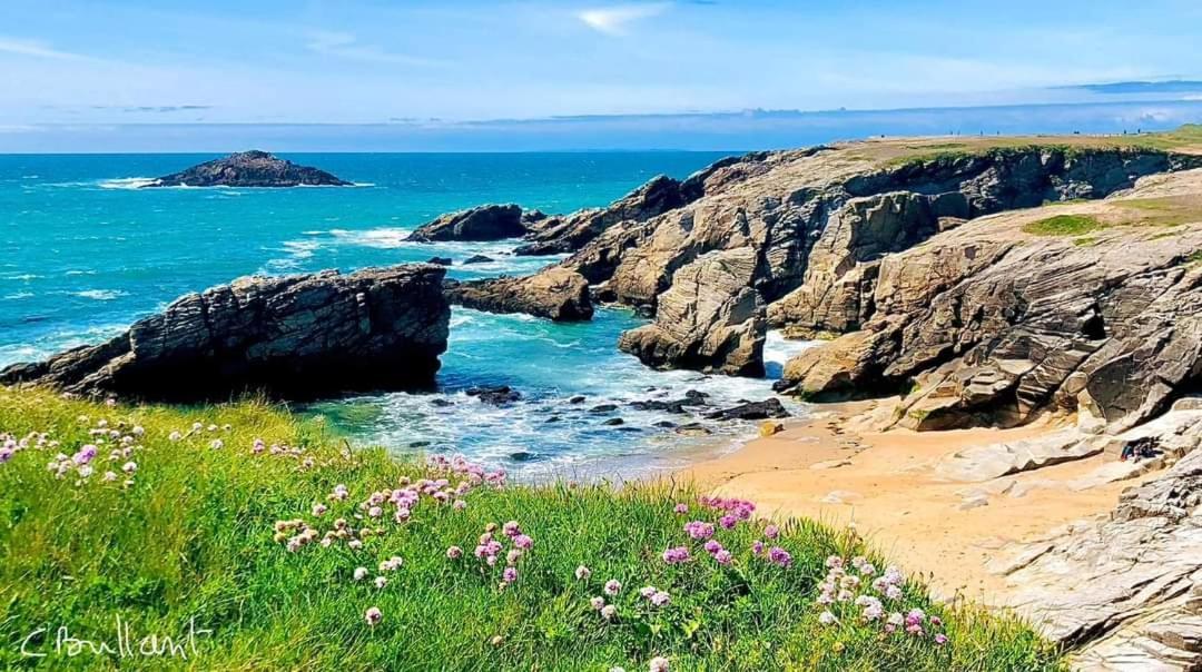 Appartement Cocon A Quiberon Dans Residence Calme, Plages Et Centre Ville A Pied Ou A Velo Pour 2 A 4 Personnes المظهر الخارجي الصورة
