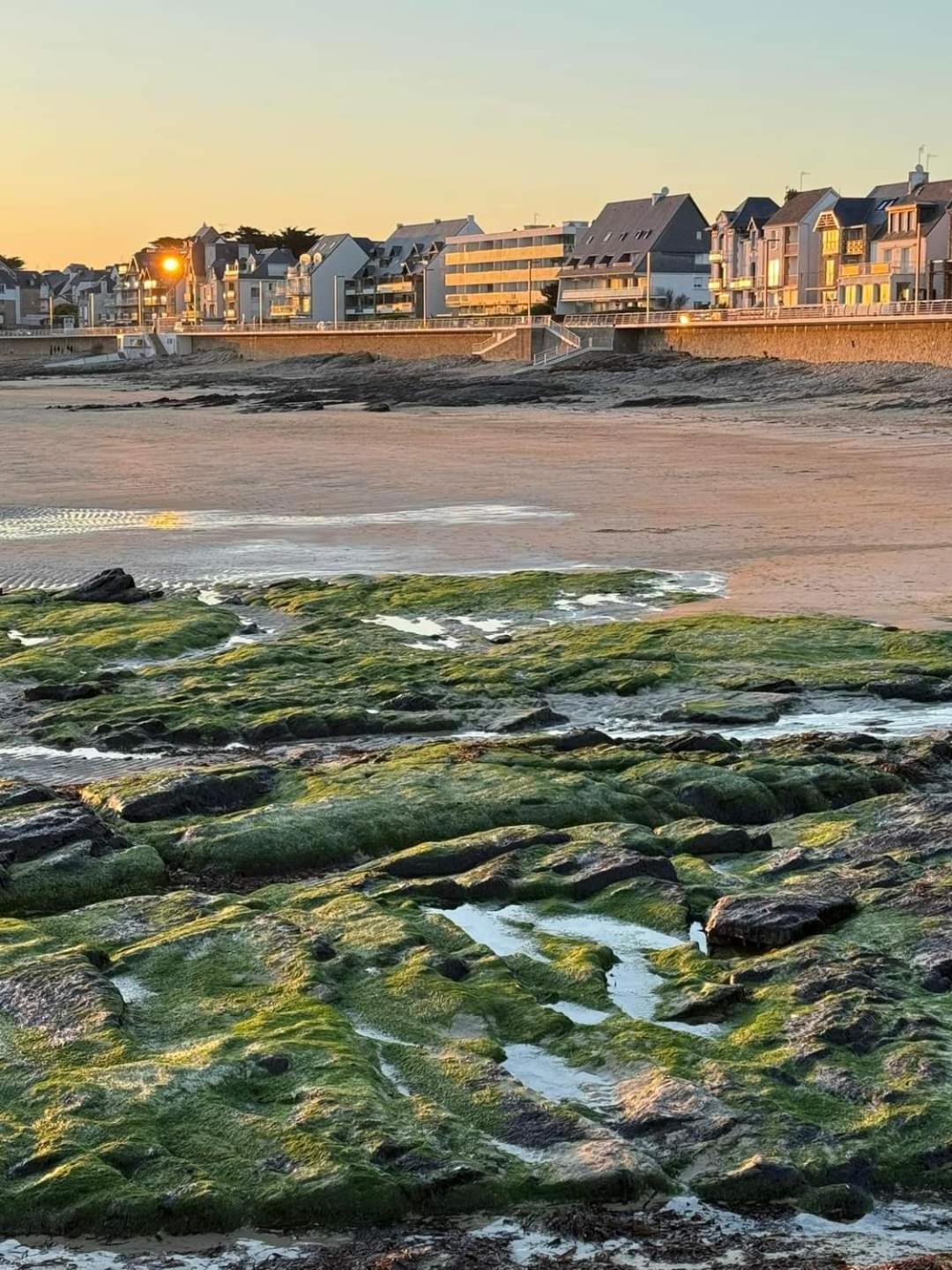 Appartement Cocon A Quiberon Dans Residence Calme, Plages Et Centre Ville A Pied Ou A Velo Pour 2 A 4 Personnes المظهر الخارجي الصورة