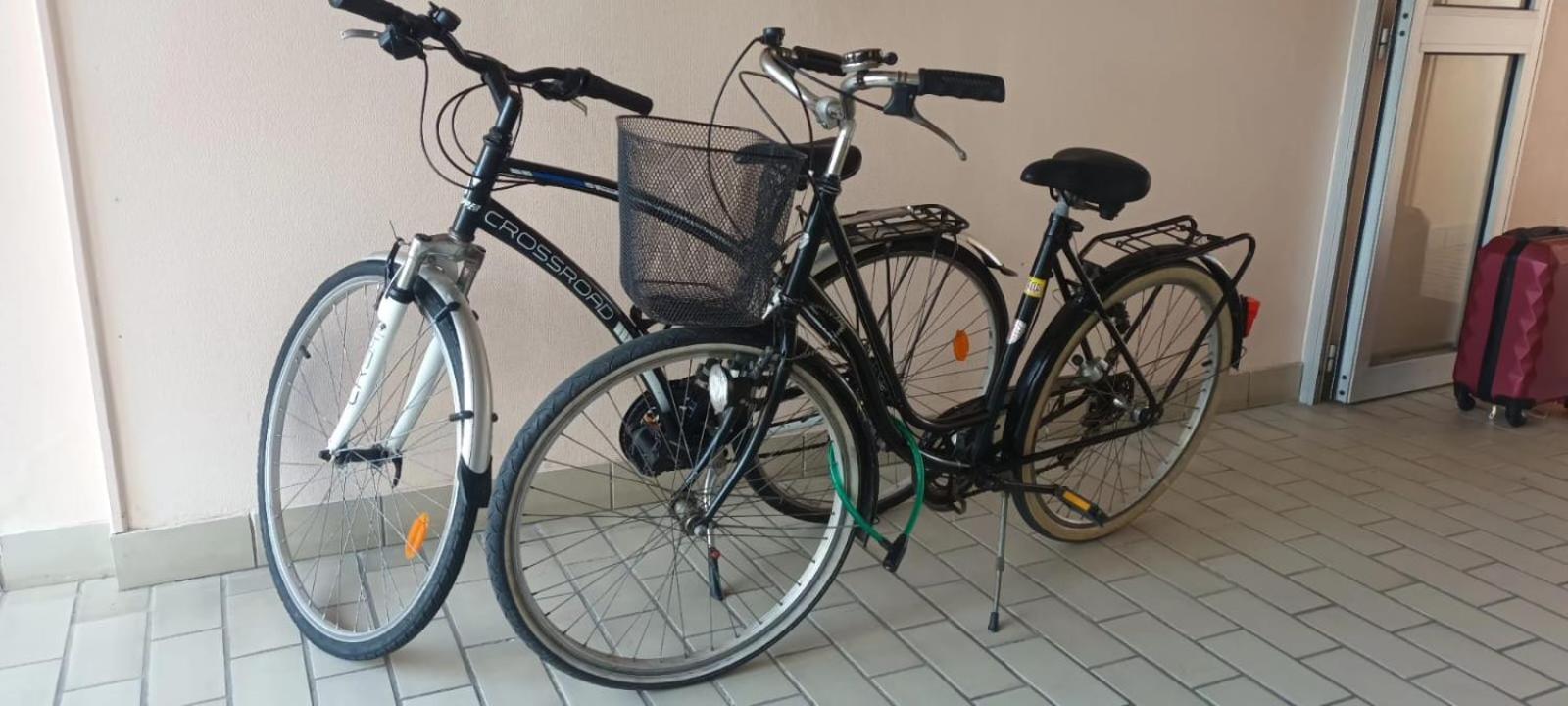 Appartement Cocon A Quiberon Dans Residence Calme, Plages Et Centre Ville A Pied Ou A Velo Pour 2 A 4 Personnes المظهر الخارجي الصورة